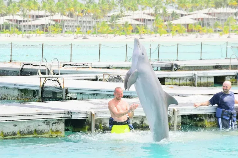 Dolphin Island Park - Nature attraction in the Caribbean