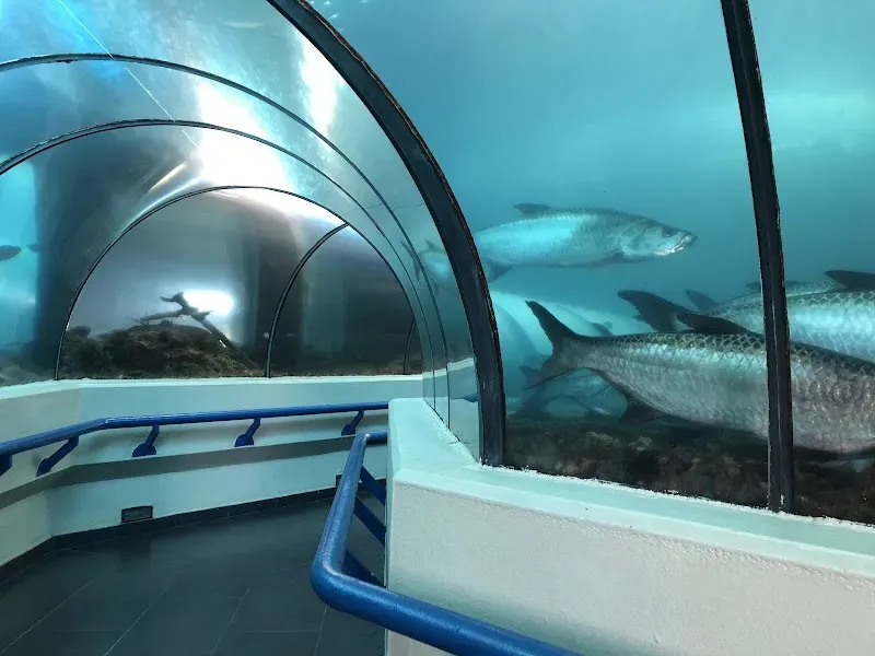 Dominican Republic National Aquarium - Marine attraction in the Caribbean