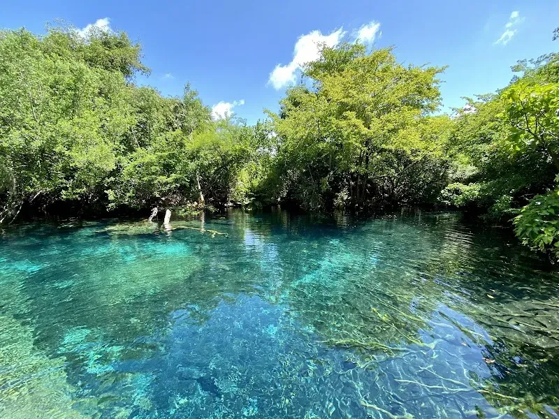 Indigenous Eyes Ecological Reserve - Nature attraction in the Caribbean