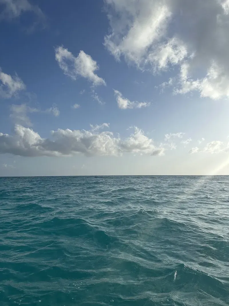 Isla Saona - Nature attraction in the Caribbean