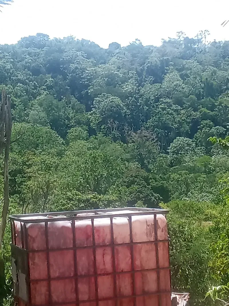 La Guazuma - Nature attraction in the Caribbean