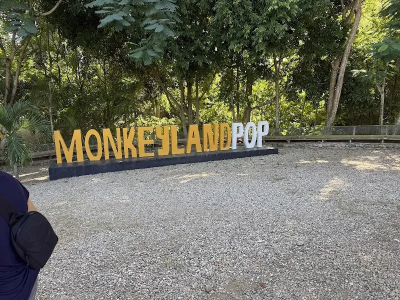 Monkey Island by Runners Adventures - Nature attraction in the Caribbean
