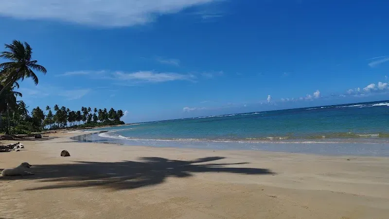 Playa Morón - Nature attraction in the Caribbean