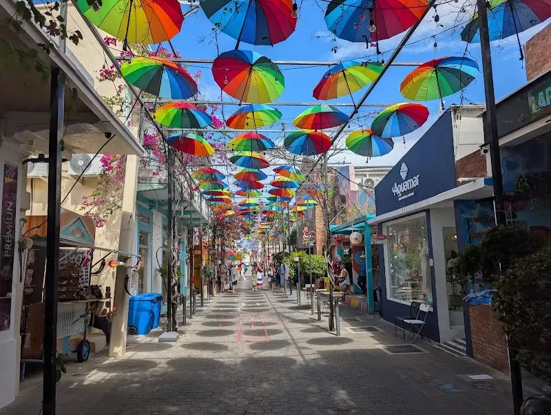Umbrella Street - Nature attraction in the Caribbean