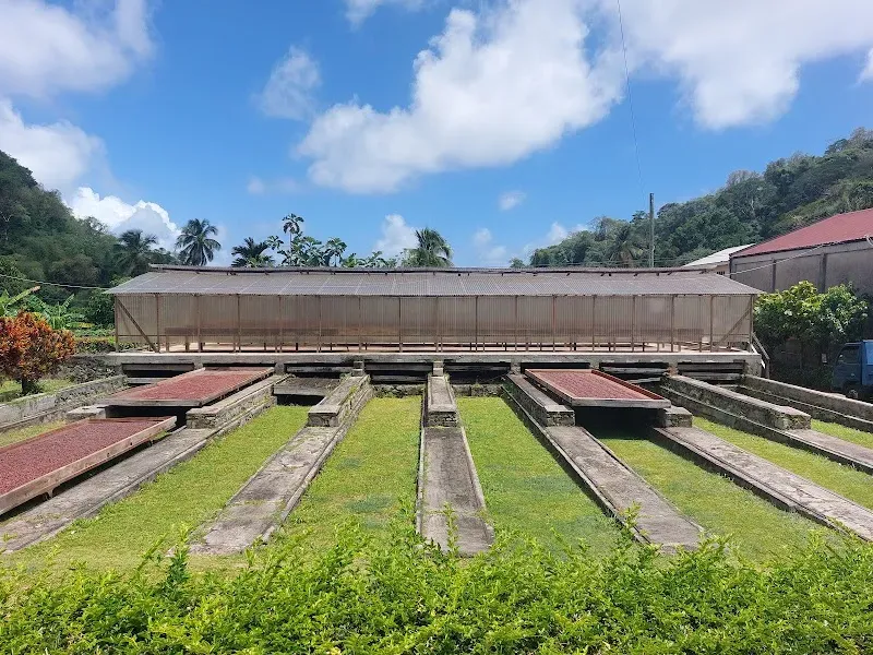Belmont Estate - Nature attraction in the Caribbean