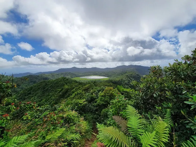 Grand Étang National Park - Nature attraction in the Caribbean