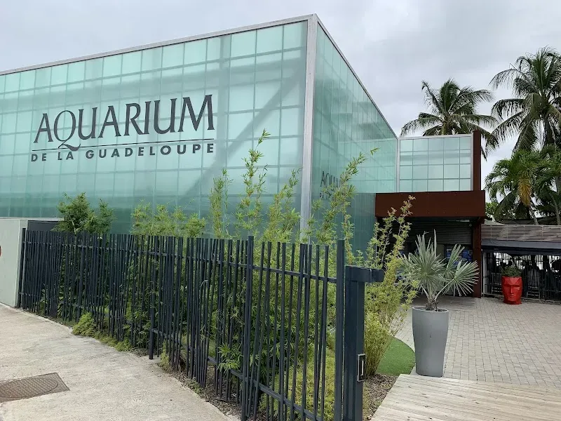 Aquarium of Guadeloupe - Marine attraction in the Caribbean