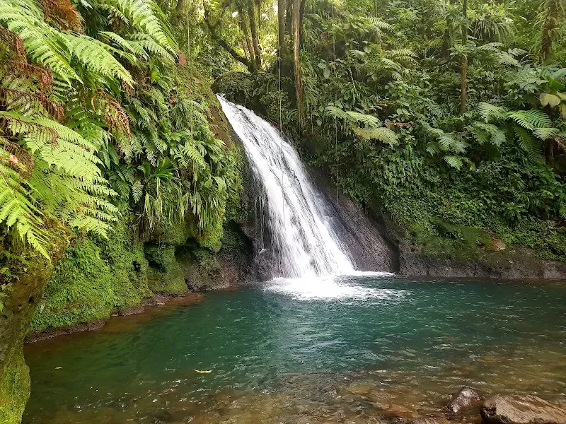Cascade aux Ecrevisses - Nature attraction in the Caribbean