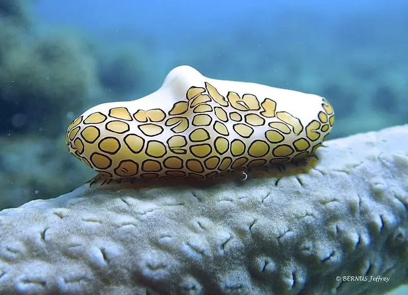 Guadeloupe National Park - Nature attraction in the Caribbean