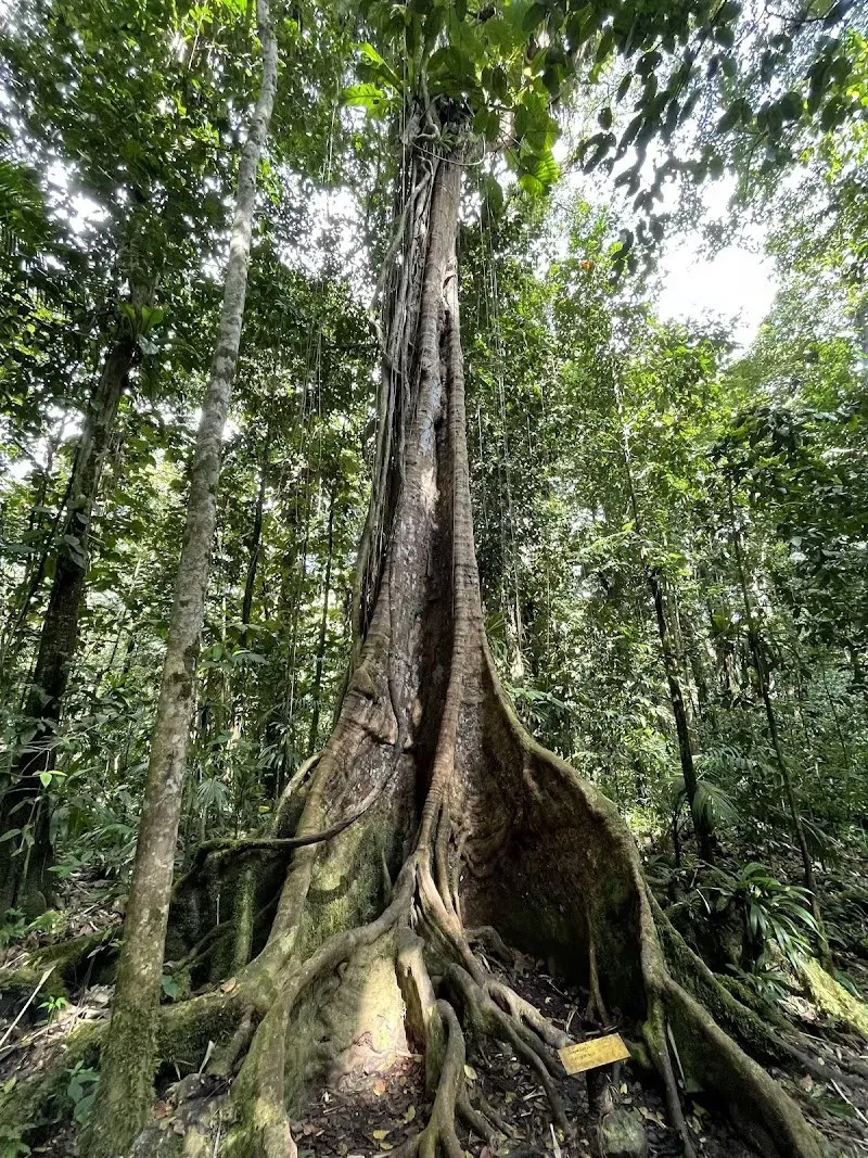 Maison de la Forêt - Nature attraction in the Caribbean