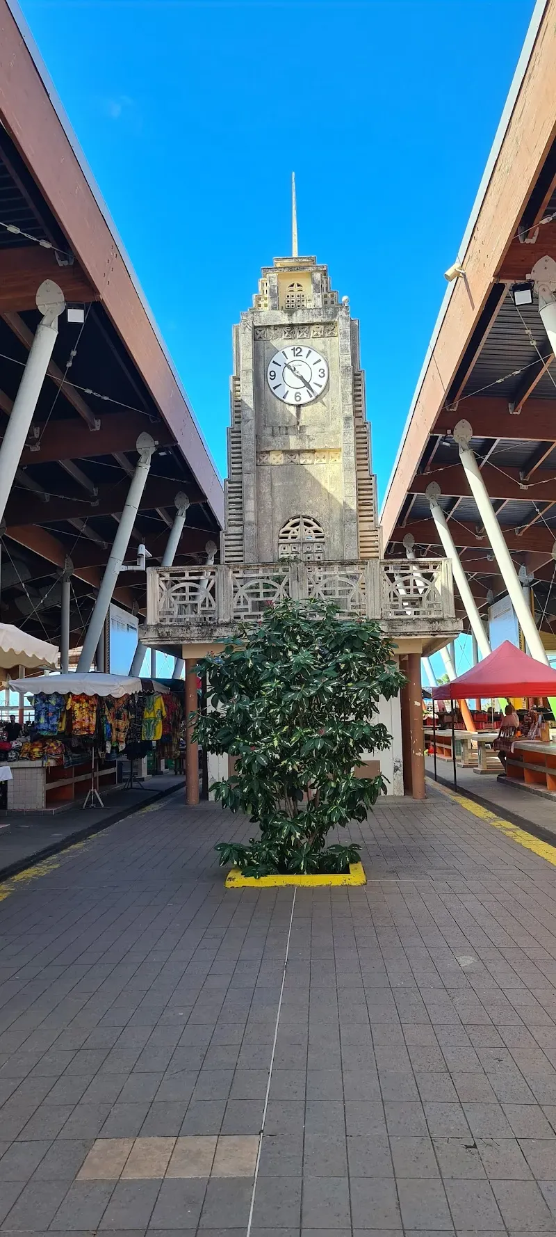 Marché de Basse-Terre - Nature attraction in the Caribbean