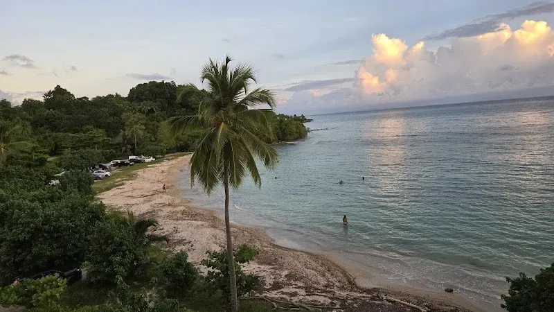 Plage de la Caye d'argent - Nature attraction in the Caribbean