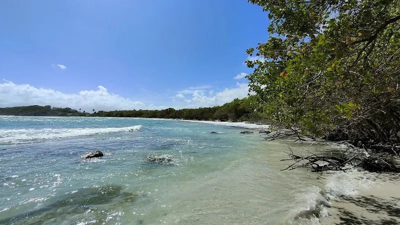 Plage de Saint-Félix - Nature attraction in the Caribbean