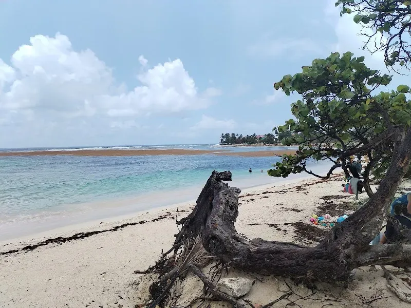 Plage des Raisins Clairs - Nature attraction in the Caribbean