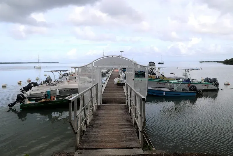 Port de Baie-Mahault - Nature attraction in the Caribbean