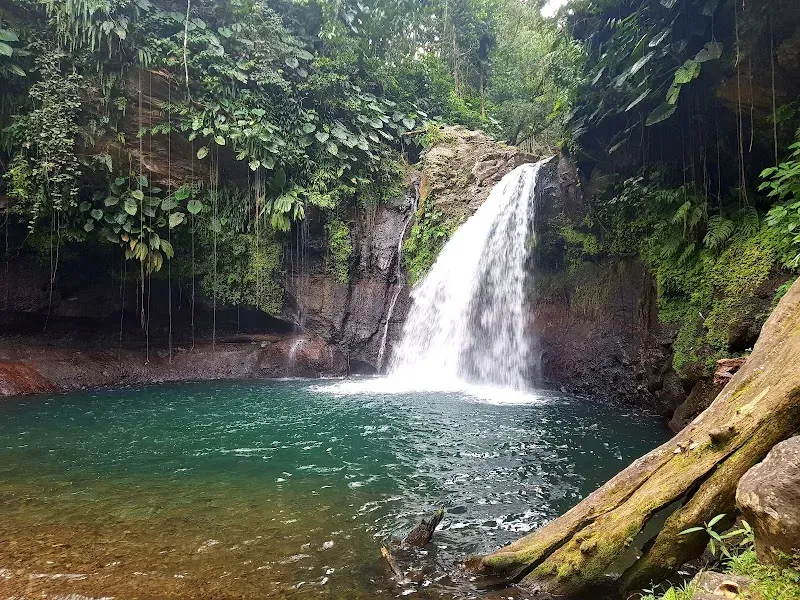 Saut De La Lézarde - Nature attraction in the Caribbean
