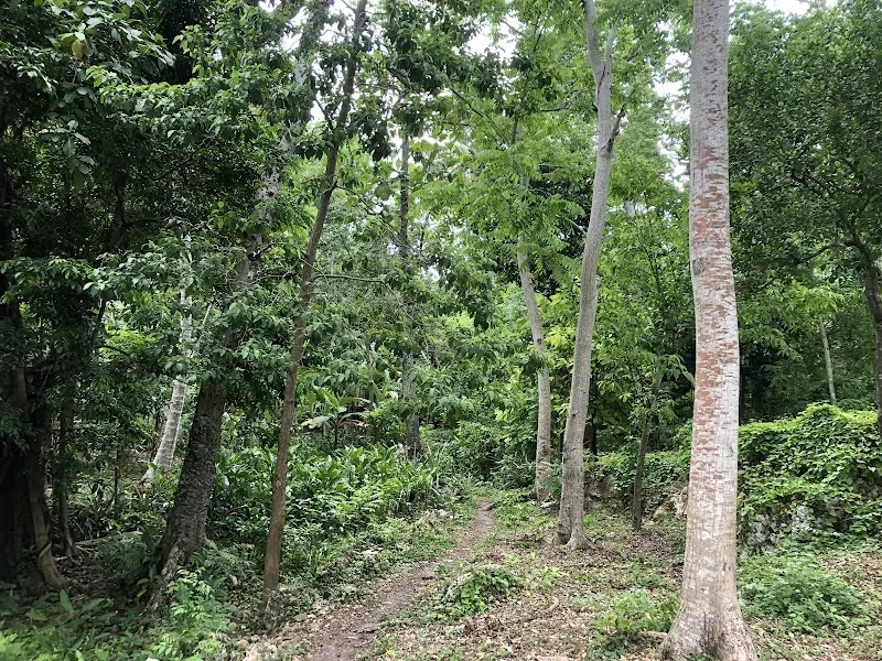 Dlo Dig Lavanneau - Nature attraction in the Caribbean