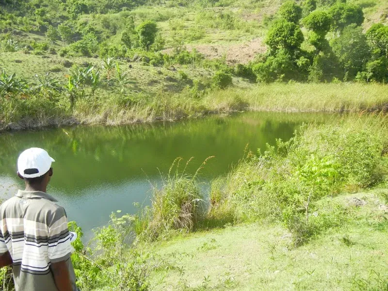 Etang Pernelé - Nature attraction in the Caribbean