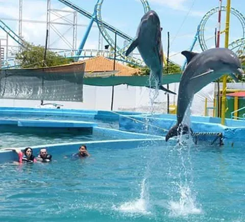 Waterland Mundo Marino