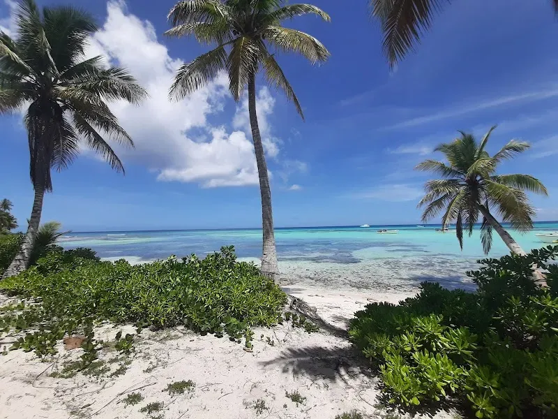 Ilha Saona