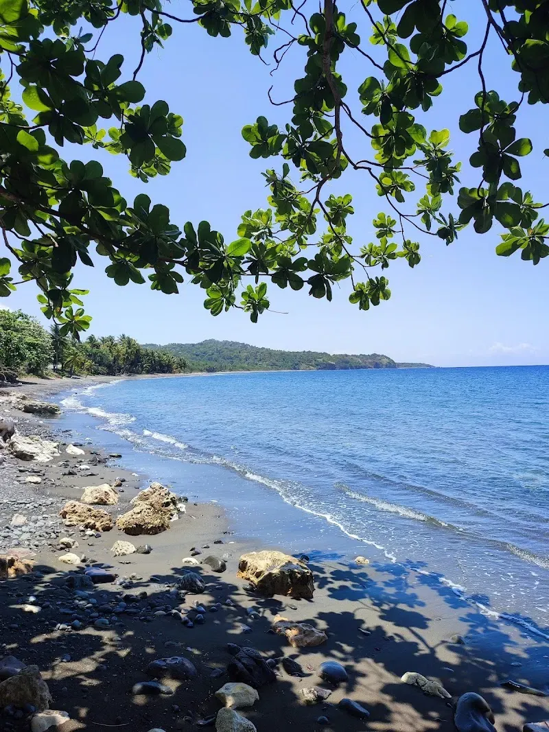 Birt beach - Nature attraction in the Caribbean