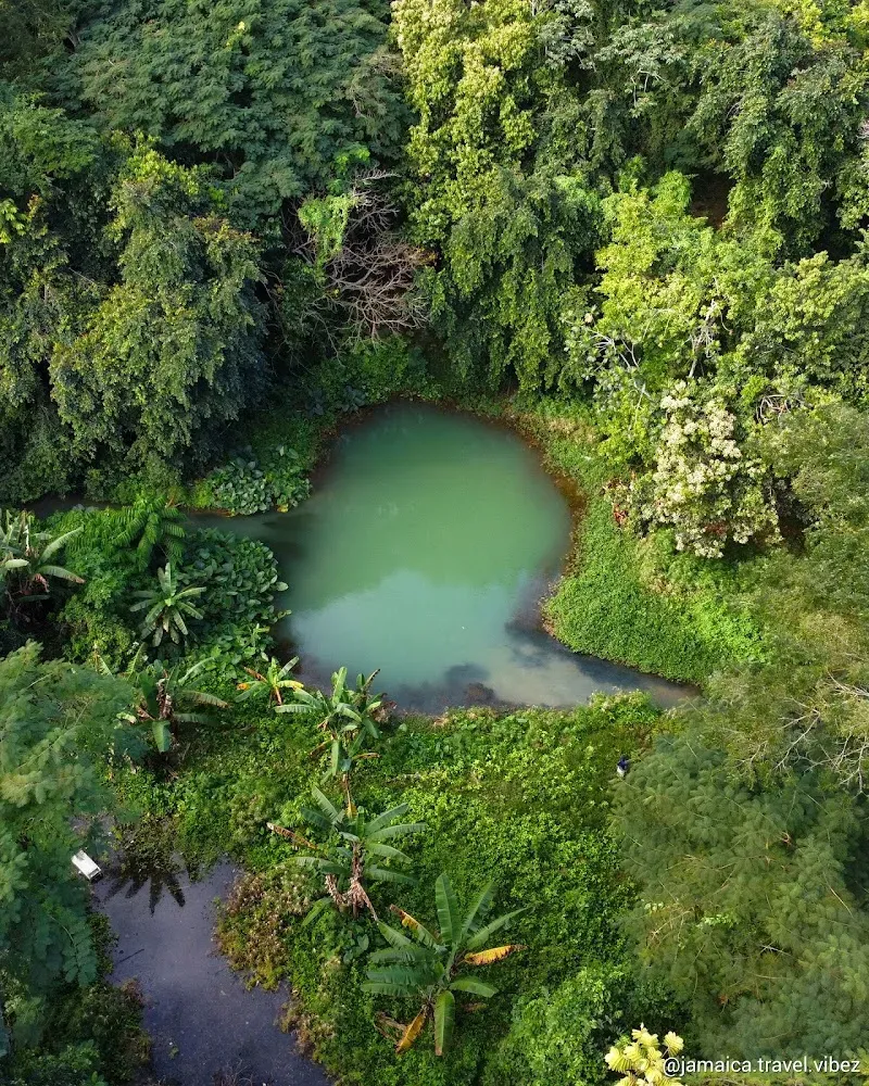 Clarendon blue hole - Nature attraction in the Caribbean