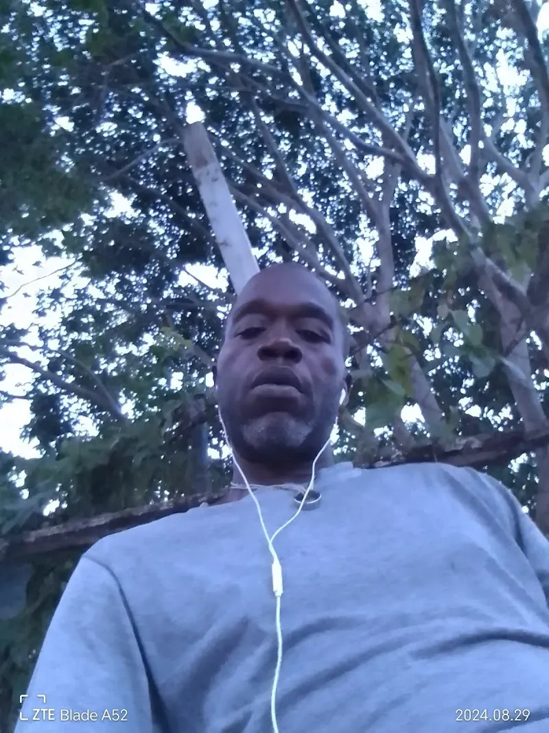 Dolphin cove - Nature attraction in the Caribbean