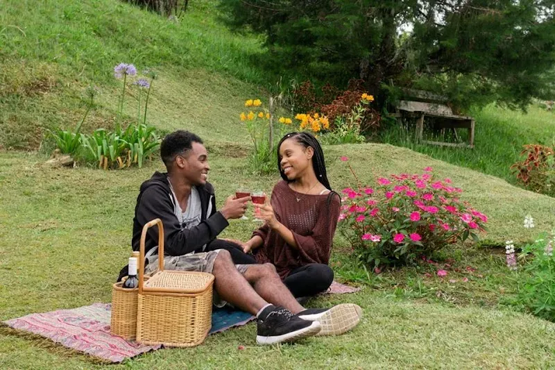 Holywell Park Jamaica - Nature attraction in the Caribbean