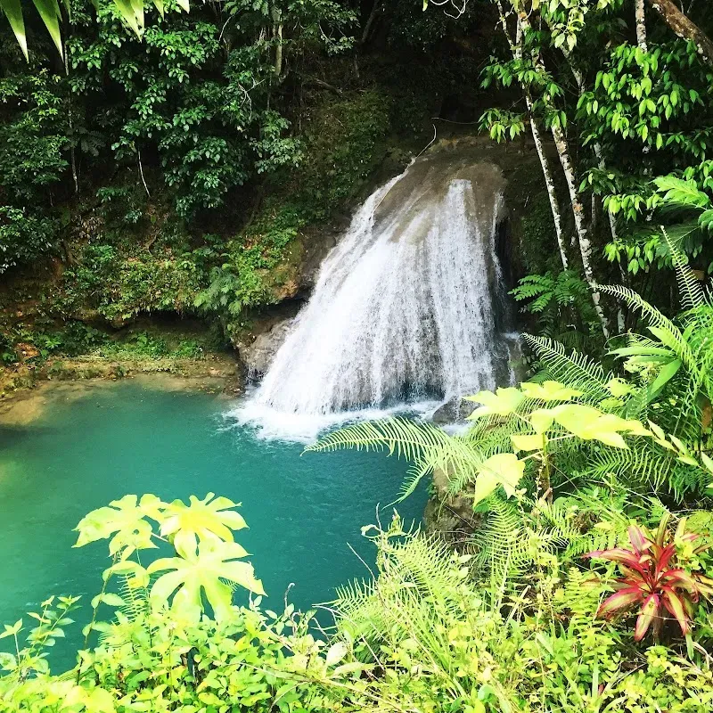 Island Gully Falls - Nature attraction in the Caribbean