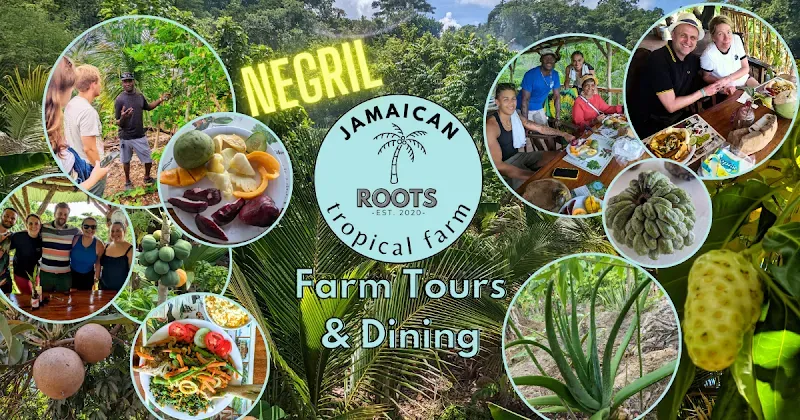 Jamaican Roots Tropical Farm - Nature attraction in the Caribbean