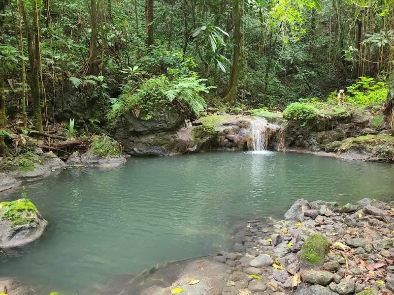 Nonsuch river - Nature attraction in the Caribbean