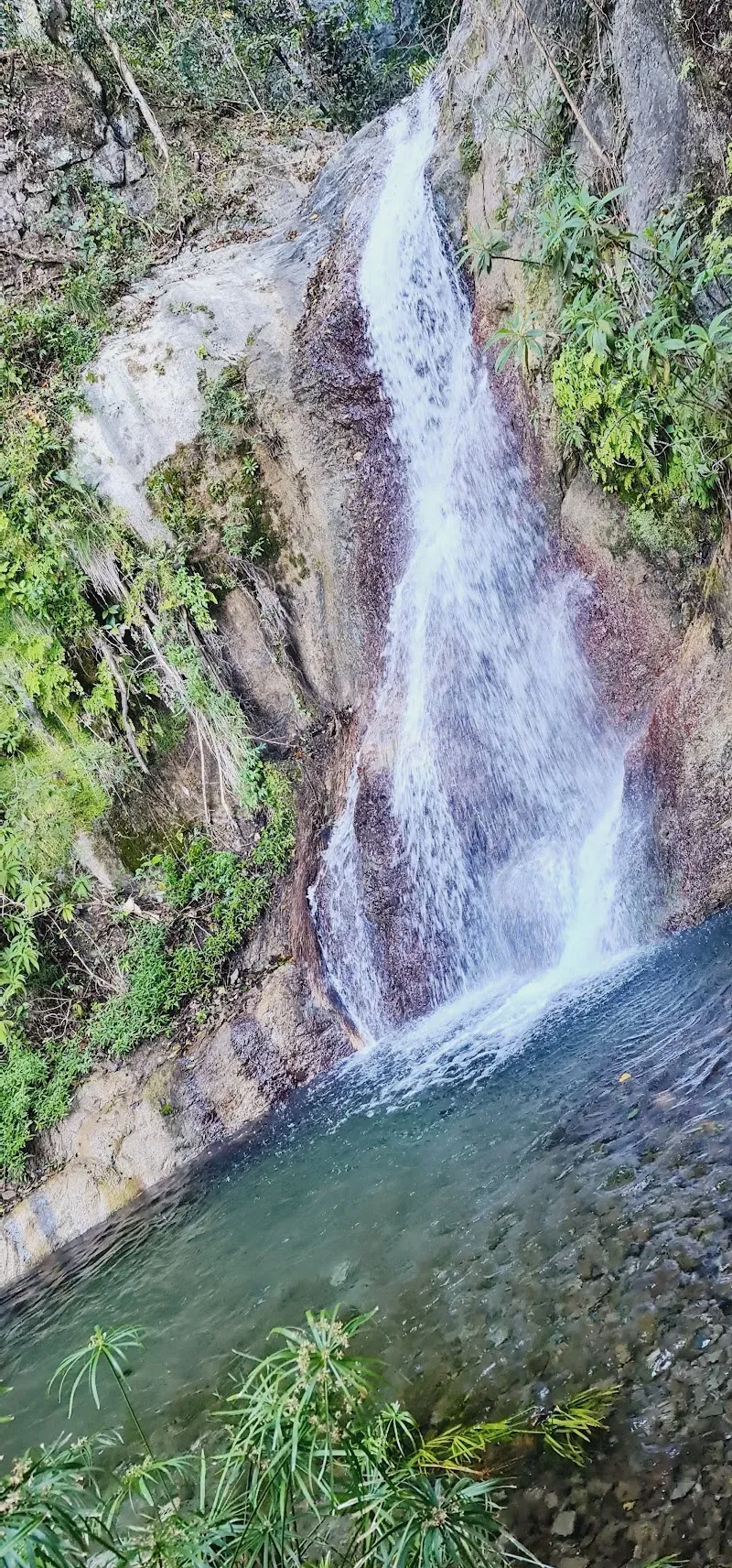 Pretty Close 1876 - Nature attraction in the Caribbean
