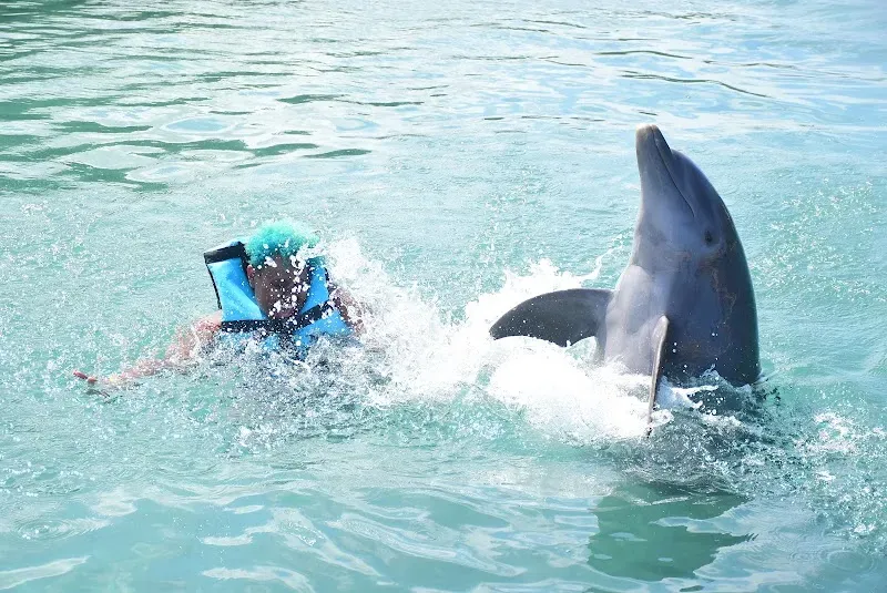 RockViewEstates Tour - Nature attraction in the Caribbean