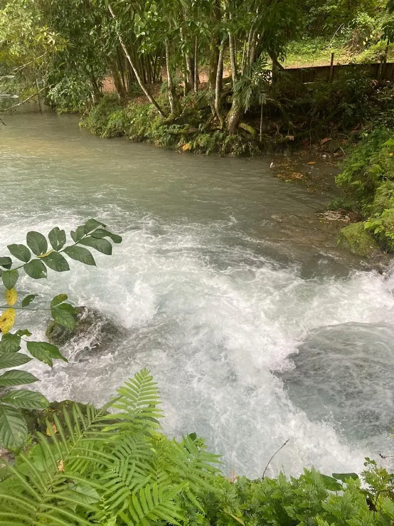 Spring paradise - Nature attraction in the Caribbean