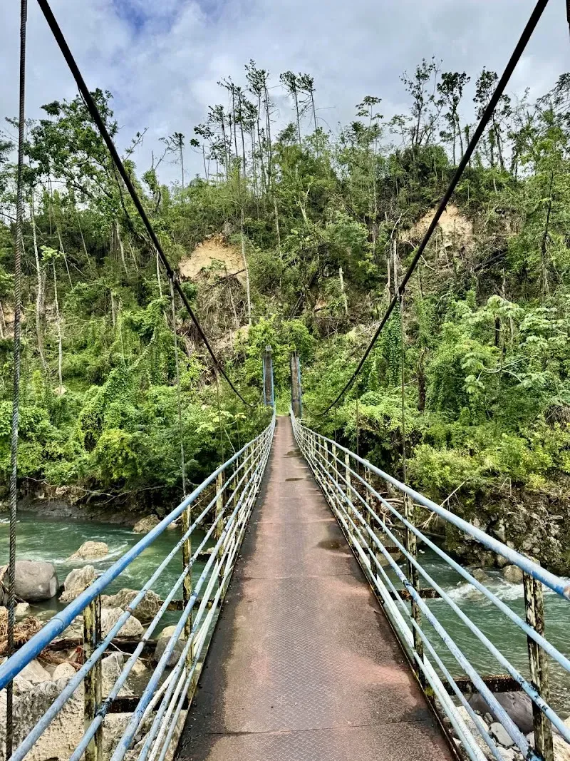 Swinging Bridge - Nature attraction in the Caribbean