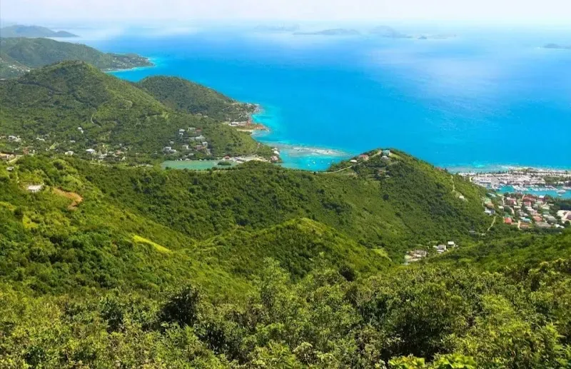 Sage Mountain National Park - Nature attraction in the Caribbean