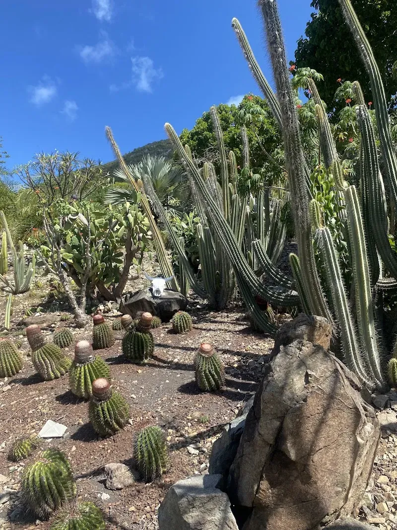 du Désert, La Désirade Botanical Garden - Nature attraction in the Caribbean