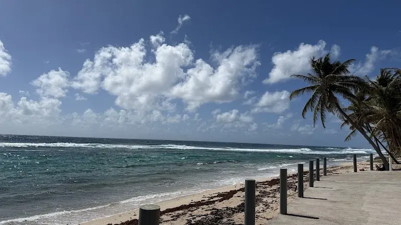 Plage de l'Anse Rivière