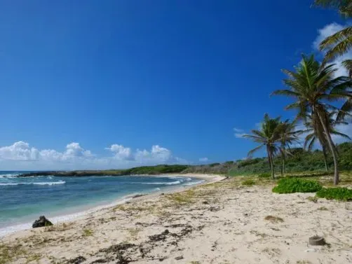 Plage des Galets - Nature attraction in the Caribbean