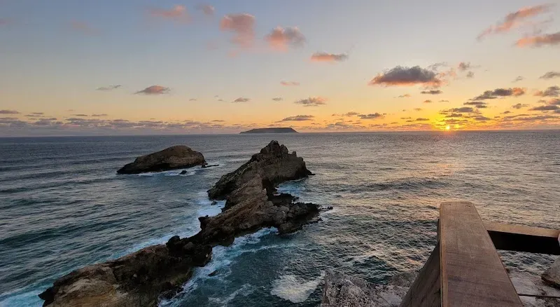 Pointes des colibris