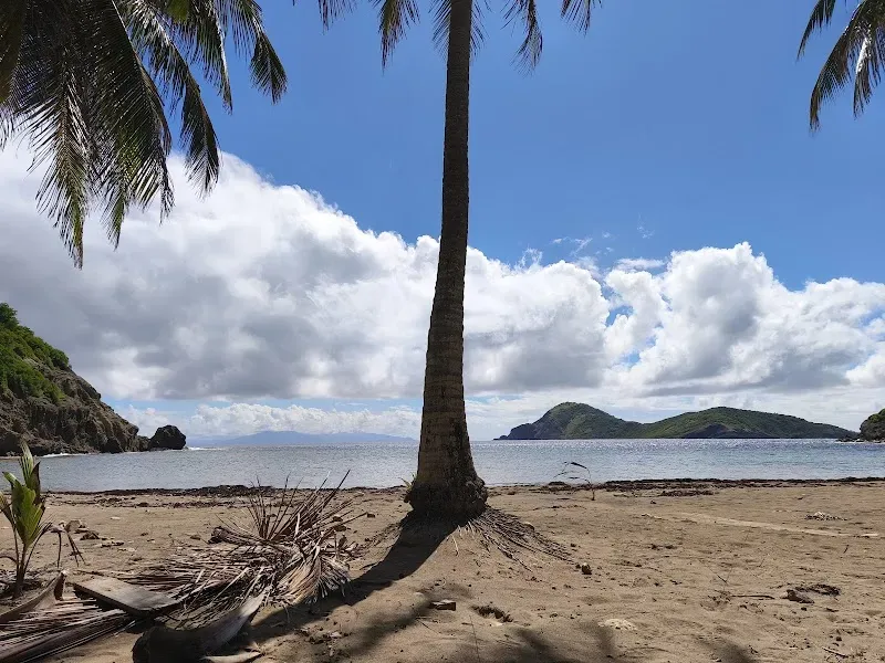 Plage de l'Anse du Figuier