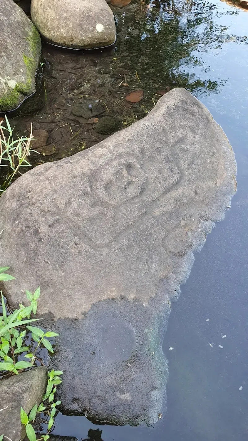 Roches gravées de la Coulisse - Nature attraction in the Caribbean