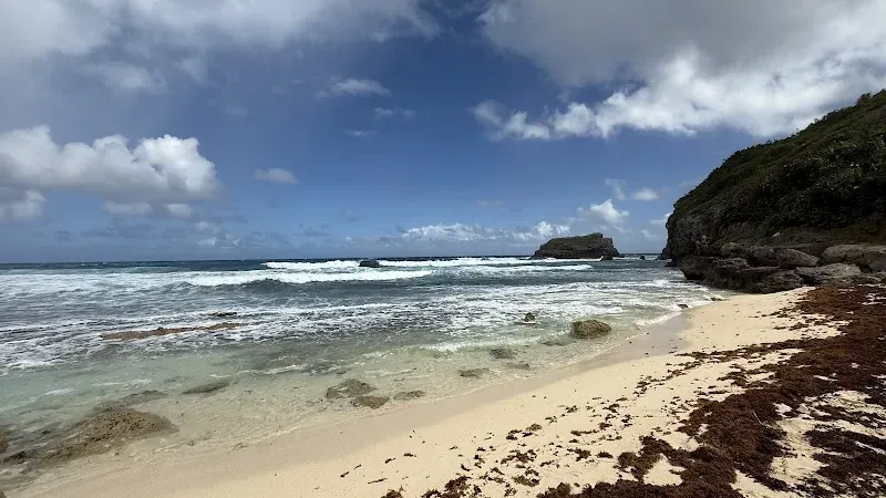 Plage d'Anse du Coq - Nature attraction in the Caribbean