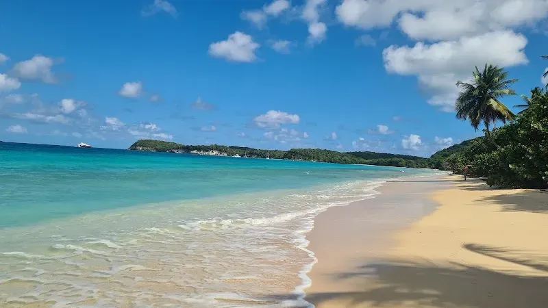 Plage de Moustique - Nature attraction in the Caribbean