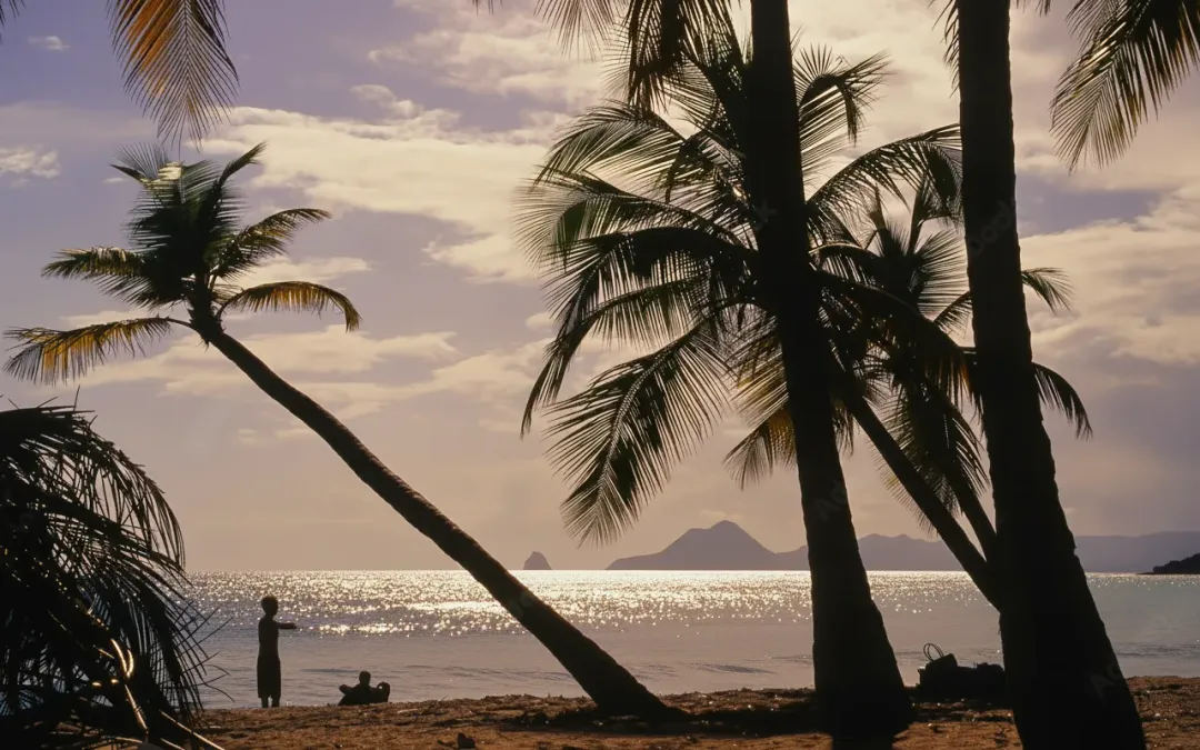 Anse des Salines - Beach attraction in the Caribbean