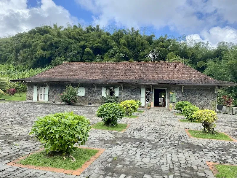 Museum of the Banana - Cultural attraction in the Caribbean