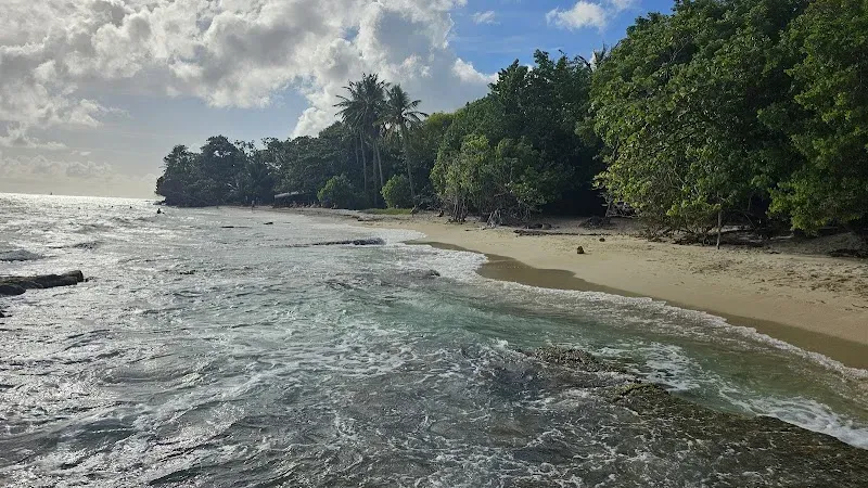 Plage de l'Anse Désert / Fond Larion - Nature attraction in the Caribbean