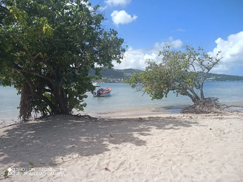 Plage de l'Autre Bord - Nature attraction in the Caribbean