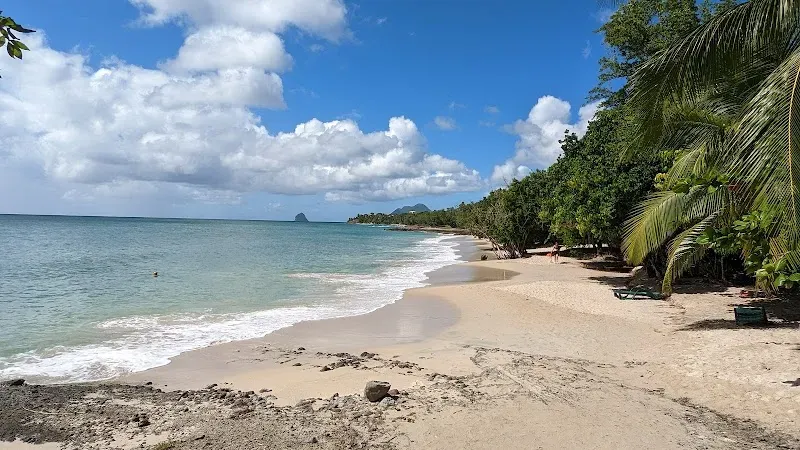 Plage de Sainte Luce - Nature attraction in the Caribbean