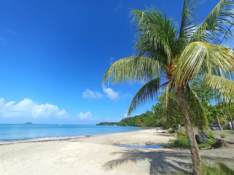 Plage des Raisiniers